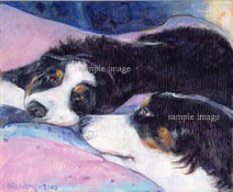 bernese ( berner ) mountain dog - Roberta Laidman