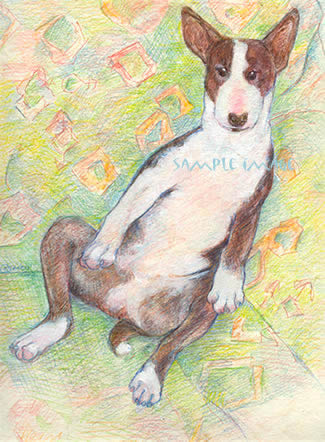 Mango , a  Bull Terrier - a Laidman Dog Print