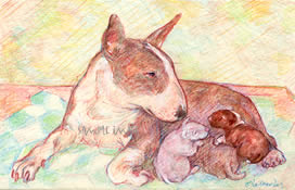Gypsy and Pups - a Laidman Dog Print