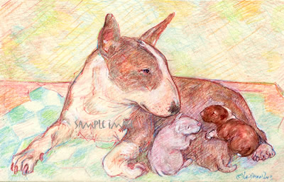 Gypsy and Pups - a bull terrier art print by Roberta Laidman