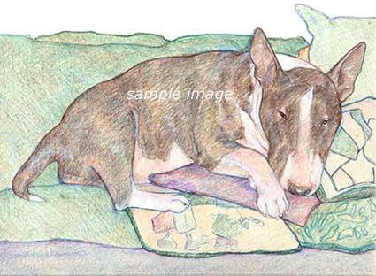 Annie - a Laidman Bull Terrier Dog Print