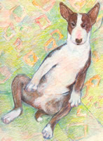 Mango - a Laidman Dog Print