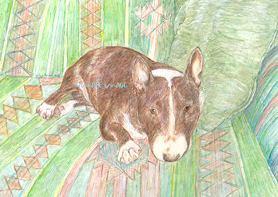 Quint - a miniature Bull Terrier - a Laidman Dog Print