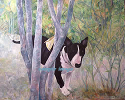 black and white bull terrier - a laidman dog pring 
