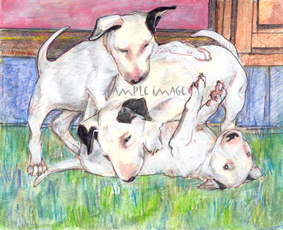 Bull Terrier Puppy Pile - a Laidman Dog Print