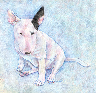 Brodie Lee - a Laidman Bull Terrier Dog Print
