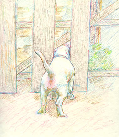 Toutsy , rear view - a Laidman dog Print