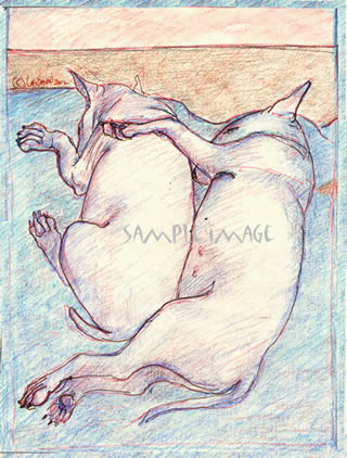 Sleeping Bull Terrier Buds - a Laidman Dog Print