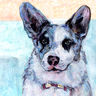 cardigan welsh corgi art work by Roberta Laidman