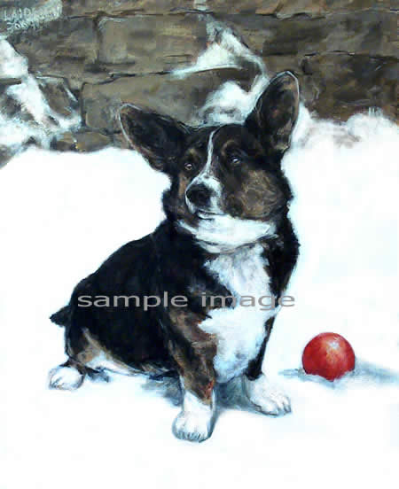 Alice - a Cardigan Welsh Corgi Dog Print by Laidman 