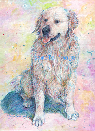 "Ash" - A Golden Retriever print by Roberta Laidman