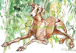 greyhound dog drawing River Gbeh