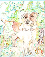 Jack Russell Terrier in a Japanese Garden - a Laidman Dog Print