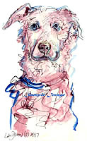 labrador retriever dog drawing