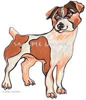 pit bull terrier dog drawing / print